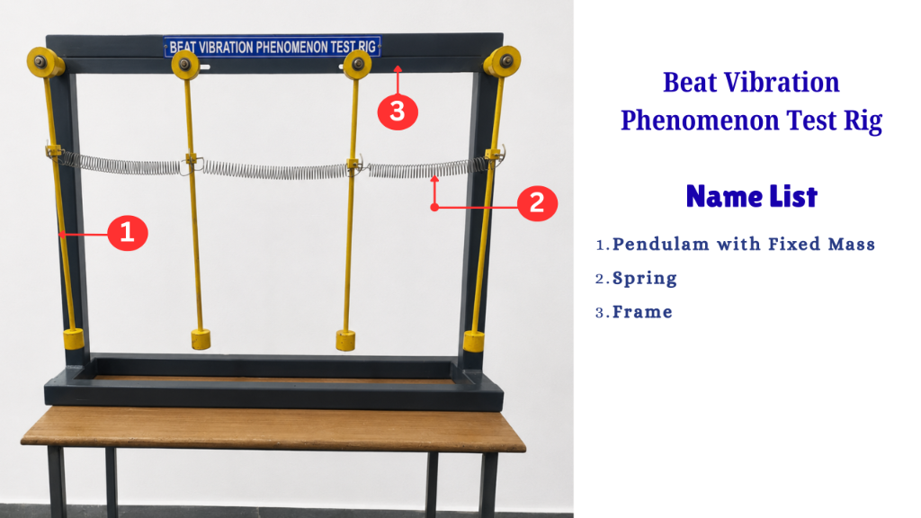 Four Pendulum Model